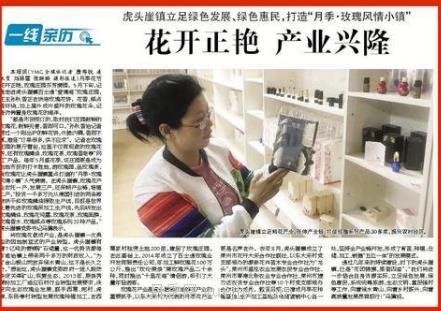 月季产业兴隆 莱州虎头崖镇打造“月季玫瑰风情小镇”(图1)