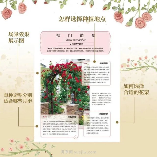 月季图书：后藤绿《月季新手百科》(图3)