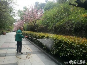 如何做园林的绿化养护工作？