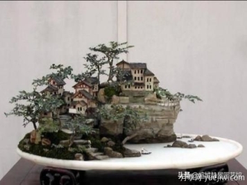 什么是山水盆景？山水盆景的形式有哪些？