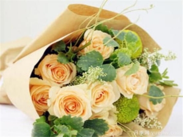 香槟玫瑰多少钱一朵 香槟玫瑰适合送给什么人