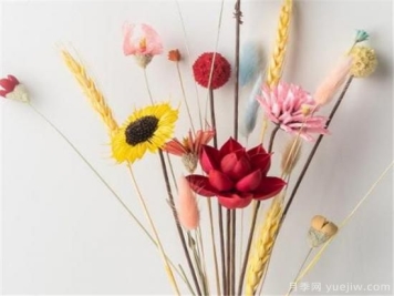干花插花要不要放水 叶脉干花制作工艺