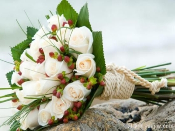 白色玫瑰有哪些寓意