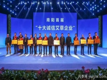 南阳中医药：强强合作助力中医药产业腾飞