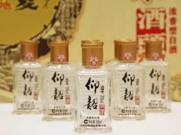 河南十大白酒，何以解忧唯有杜康