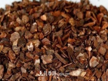 园林景观绿化中松树皮的应用