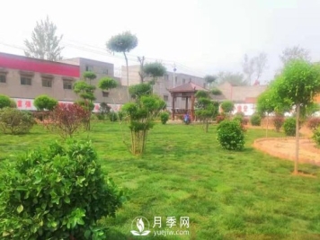 开封尉氏：见缝插绿做绿化 绘得岗李满眼景