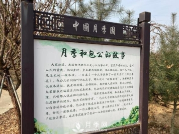 南阳中国月季园，包公和月季的故事