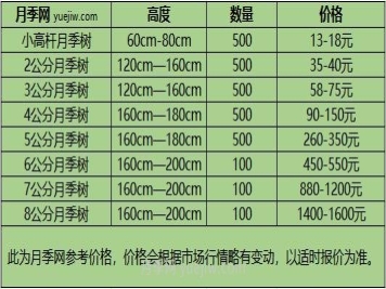 1-10公分月季树价格是多少？树状月季5月报价单！