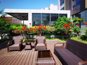 “玫瑰度假酒店”院里的玫瑰花有风味