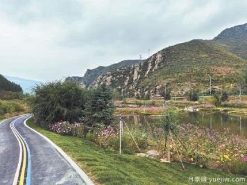 绿化2.2万亩，张家口崇礼赛事核心区森林覆盖率已超80%