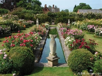 月季园打造相关问题，只要有条件一定要尝试！