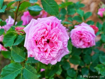 狂狠的10首诗词，气贯长虹，心潮澎湃