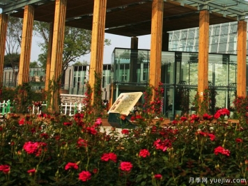 月季园：沈阳世博园玫瑰园