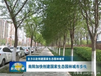 已种月季103万多株，南阳加快创建国家生态园林城市步伐