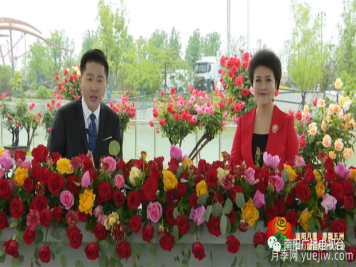 2022年第十三届南阳月季花会开幕，南阳电台全媒体直播