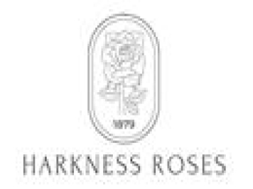 月季育种家：英国哈克尼斯月季公司(Harkness哈克内斯)