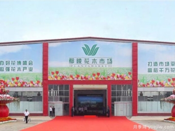 花木城：河南鄢陵花木市场