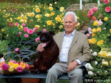 英国月季之父大卫奥斯汀的月季花园 最美的月季都在这里