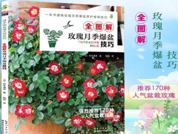 月季图书：铃木满男《全图解玫瑰月季爆盆技巧》
