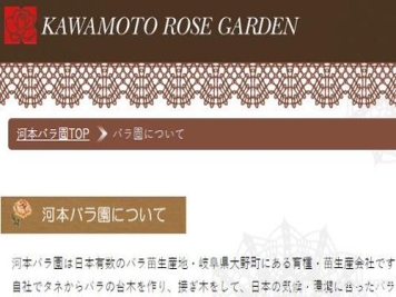 月季育种家：日本河本月季园(河本纯子Kawamoto)