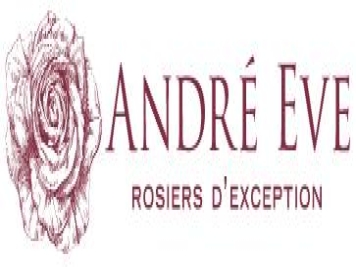 月季育种家：法国Roses Anciennes André Eve(安德烈伊芙)