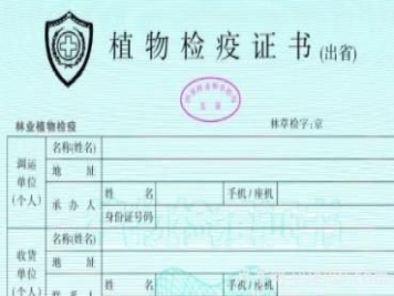 苗木三证一签指的是什么？