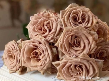 月季育种家：厄瓜多尔Brown Breeding