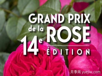 法国园艺协会月季大赏奖(SNdHF)