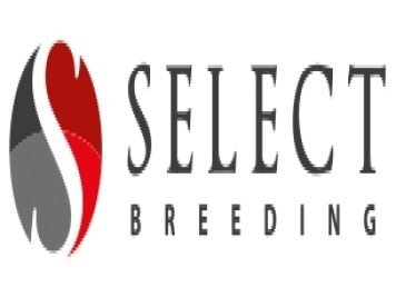 月季育种家：荷兰Select Breeding