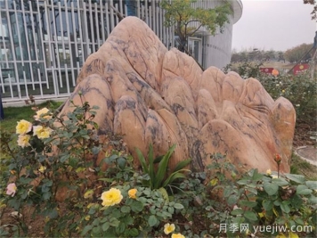 庭院中景观置石怎么选？