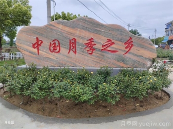 带您了解河南南召石材产品大全