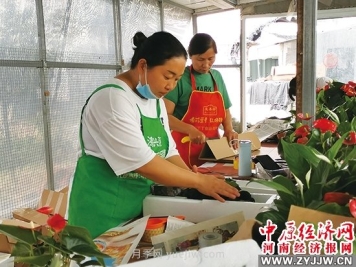 永城市高庄镇发展花卉苗木产业 年产值亿元以上