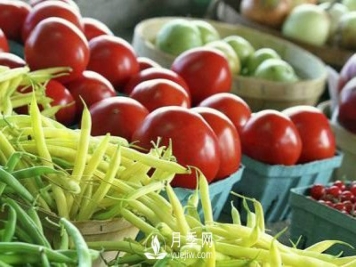 山西省农产品开发公司优秀企业推荐