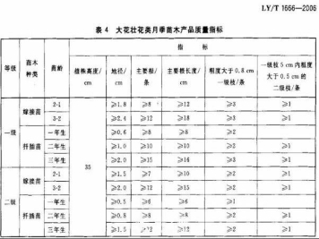 月季苗的质量行业标准