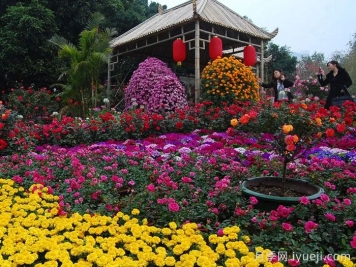 深圳人民公园打造世界一流月季园