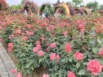 风景园林的未来会变好吗？重新定义