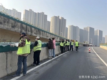 郑州：精心守护高架月季，静待春来迎花开