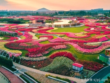 月季园：南阳世界月季大观园