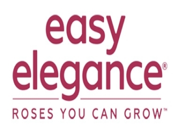 月季育种家：美国林彬Ping Lim