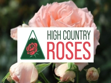 月季育种家：美国高地月季公司(High Country)