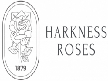 月季育种家：英国哈克尼斯月季公司(Harkness Roses哈克内斯)