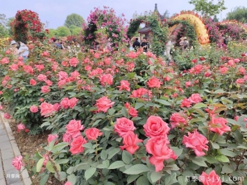 花境的模块化及成本分析