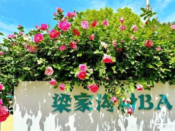 武当玫瑰花谷，​十堰市张湾区梁家沟月季长廊美出圈