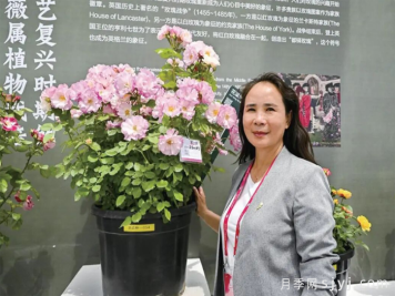 南阳月季：王波创业北京让家乡月季香飘世界