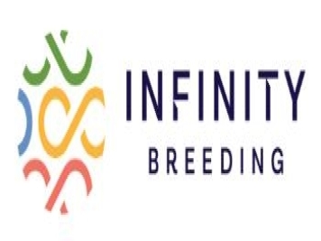 育种家：厄瓜多尔Infinity Breeding(无限月季育种)