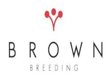 育种家：厄瓜多尔Brown Breeding(布朗月季育种)