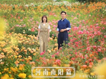 《花开中国》南阳月季：月季之都花满城，一脉馨香贯古今