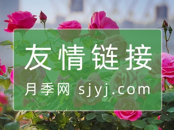 友情链接