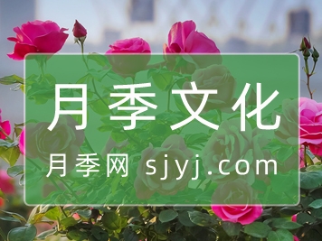 月季网文化